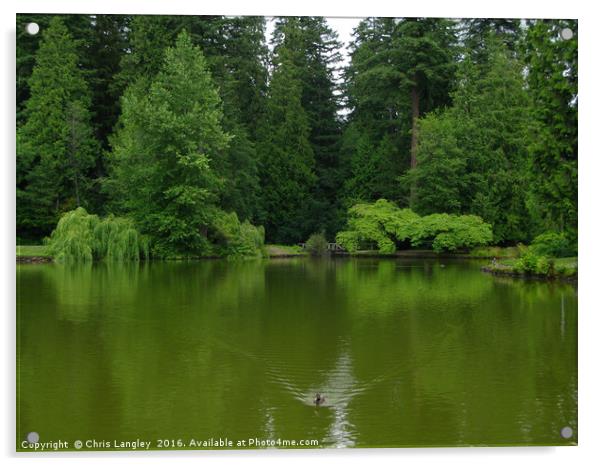 The Moody Greens of the Temperate Rain Forest Pond Acrylic by Chris Langley