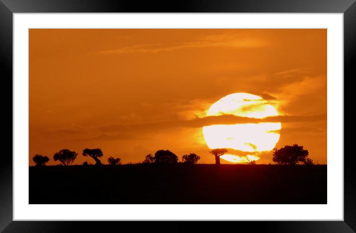 Sunset  Framed Mounted Print by Louise Godwin
