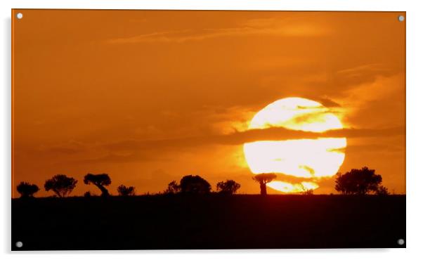 Sunset  Acrylic by Louise Godwin