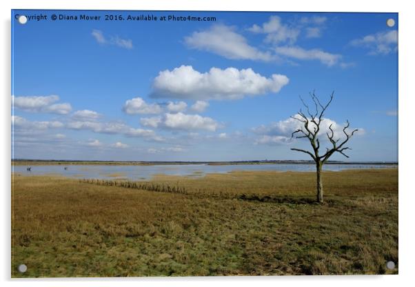 Tollesbury Marshes Acrylic by Diana Mower