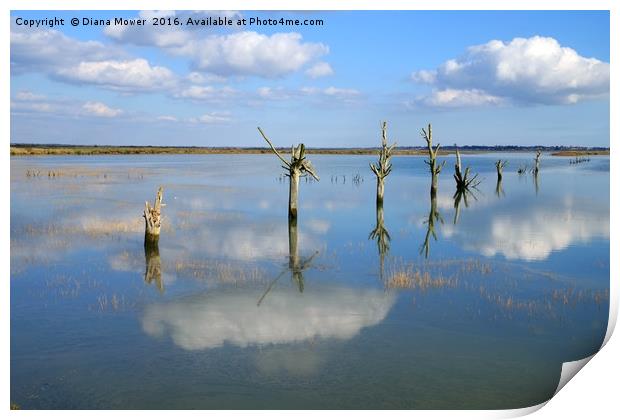 Tollesbury Marshes at High Tide Print by Diana Mower