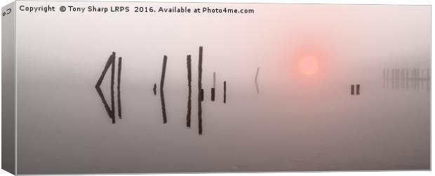 Misty Sunrise Canvas Print by Tony Sharp LRPS CPAGB