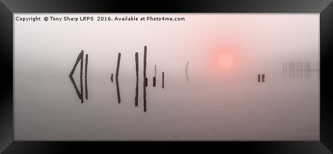 Misty Sunrise Framed Print by Tony Sharp LRPS CPAGB