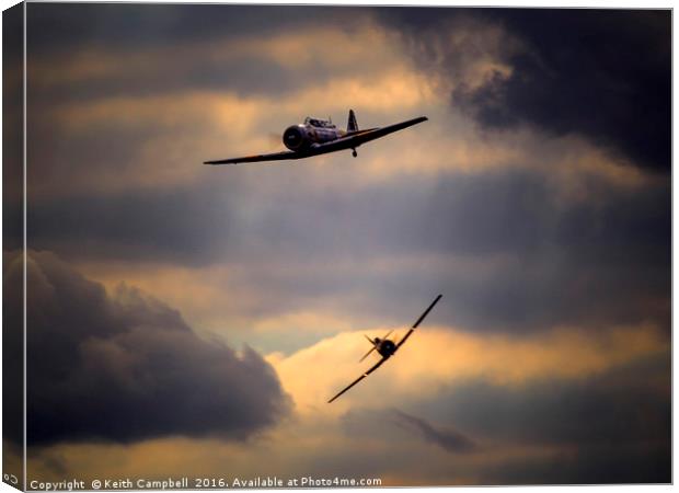 Harvard pair tailchase Canvas Print by Keith Campbell