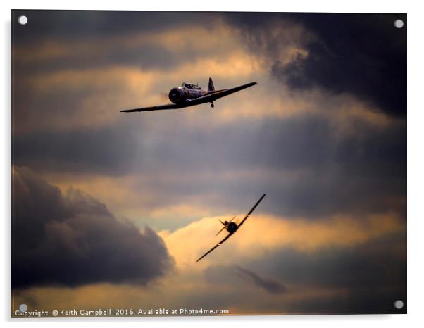 Harvard pair tailchase Acrylic by Keith Campbell