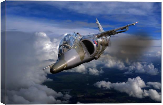 Harrier flight Canvas Print by Oxon Images