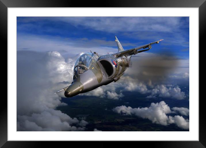 Harrier flight Framed Mounted Print by Oxon Images