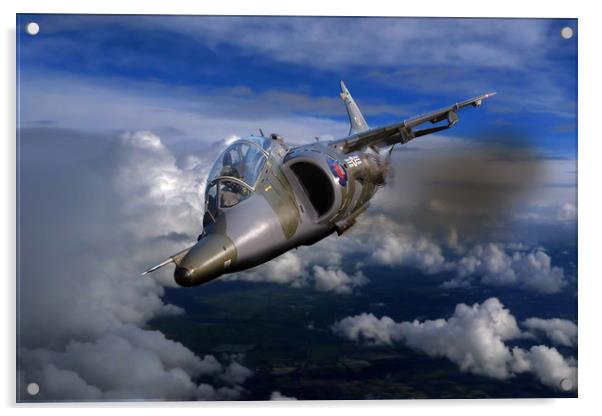 Harrier flight Acrylic by Oxon Images