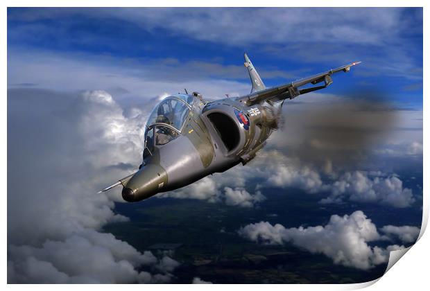Harrier flight Print by Oxon Images