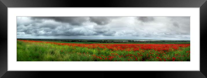 Poppy Field Framed Mounted Print by Alan Simpson