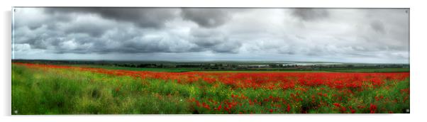 Poppy Field Acrylic by Alan Simpson