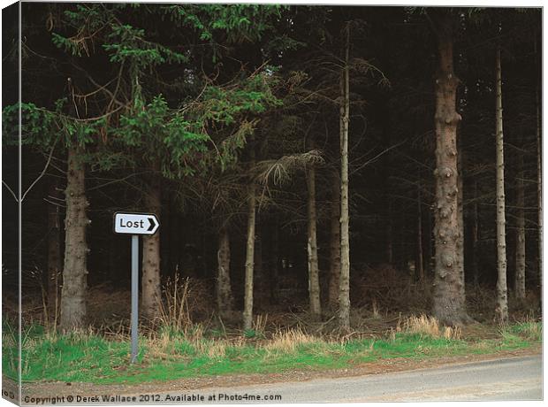 Lost sign post Canvas Print by Derek Wallace