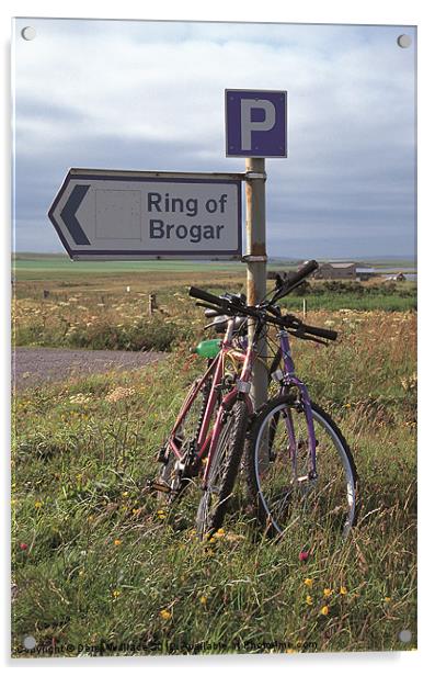 Ring of Brogar sign post Acrylic by Derek Wallace