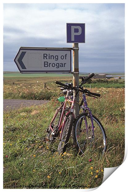 Ring of Brogar sign post Print by Derek Wallace