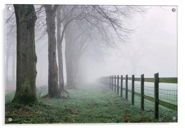 Fence beside an avenue of trees in fog. Norfolk, U Acrylic by Liam Grant