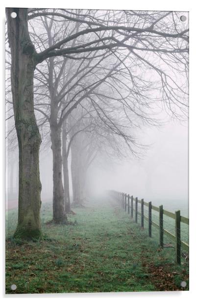 Fence beside an avenue of trees in fog. Norfolk, U Acrylic by Liam Grant
