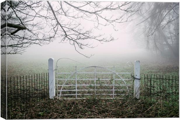White field gate beside a field in fog. Norfolk, U Canvas Print by Liam Grant