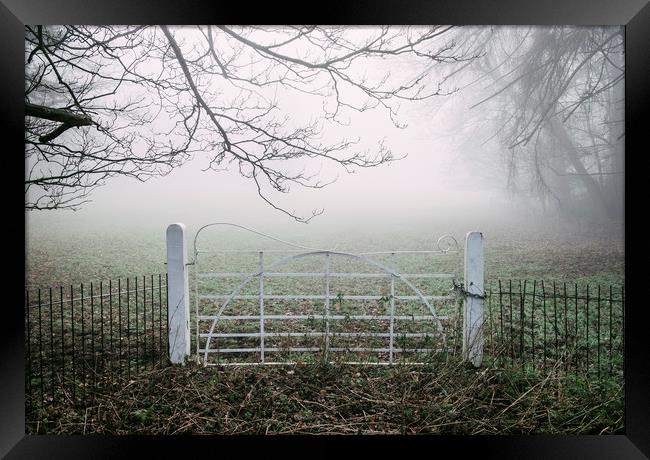 White field gate beside a field in fog. Norfolk, U Framed Print by Liam Grant
