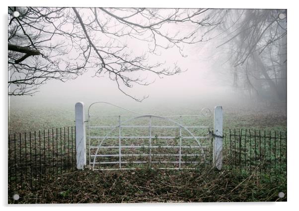 White field gate beside a field in fog. Norfolk, U Acrylic by Liam Grant