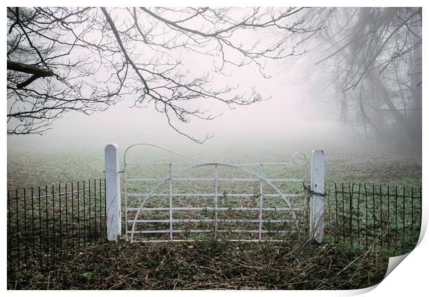 White field gate beside a field in fog. Norfolk, U Print by Liam Grant