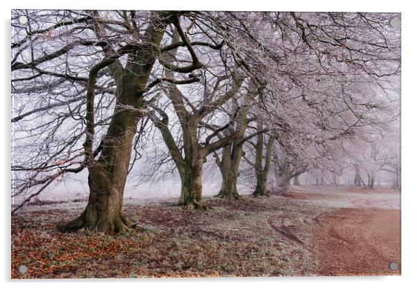 Trees and fog on a frosty morning. Santon Downham, Acrylic by Liam Grant