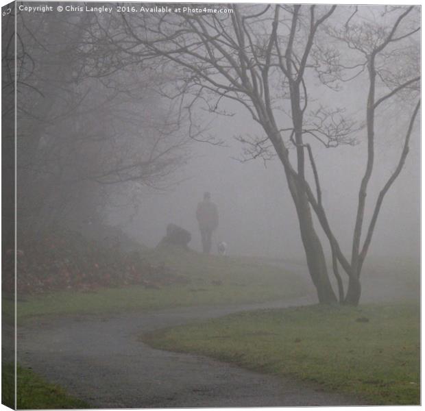 Dog in the Fog Canvas Print by Chris Langley