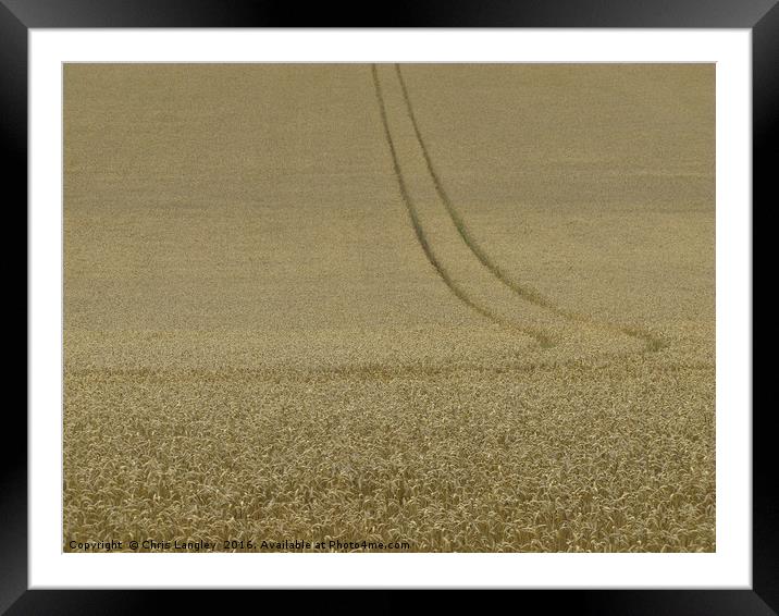 The Wheatfield Framed Mounted Print by Chris Langley