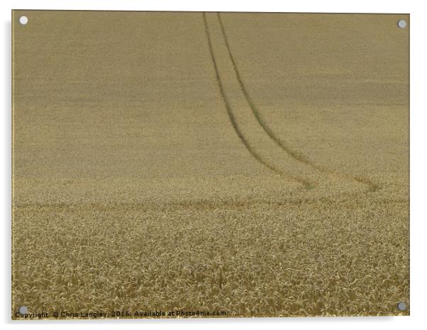 The Wheatfield Acrylic by Chris Langley