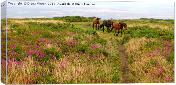 Quantock Hills Somerset Canvas Print by Diana Mower
