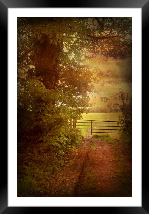 Early Morning at Four Acres. Framed Mounted Print by Heather Goodwin