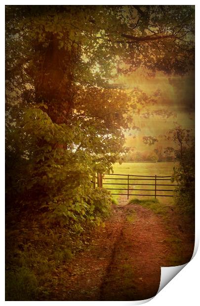Early Morning at Four Acres. Print by Heather Goodwin