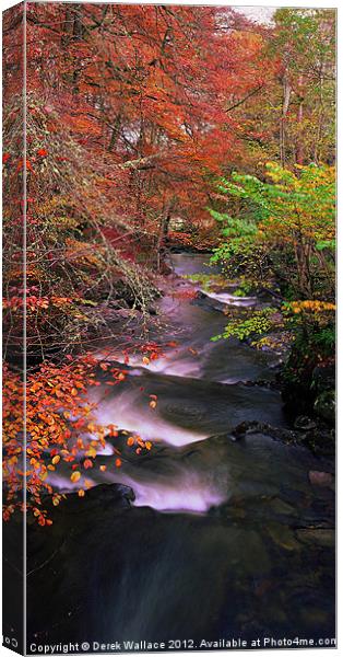 The Birks in autumn Canvas Print by Derek Wallace