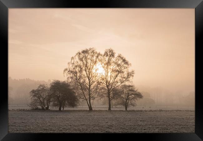 Sunrise through fog on a frosty morning. Santon Do Framed Print by Liam Grant
