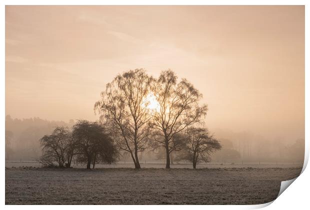 Sunrise through fog on a frosty morning. Santon Do Print by Liam Grant
