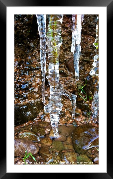 Icicle Framed Mounted Print by Tanya Lowery