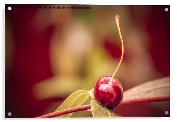 Cherry. Acrylic by Angela Aird