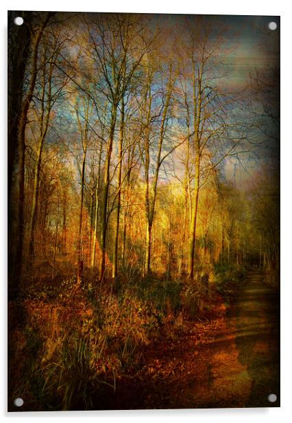 Hunter's Wood. Acrylic by Heather Goodwin