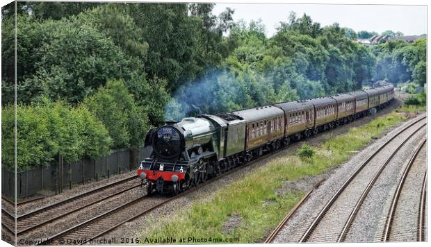 Flying Scotsman Approaching Chesterfield Canvas Print by David Birchall