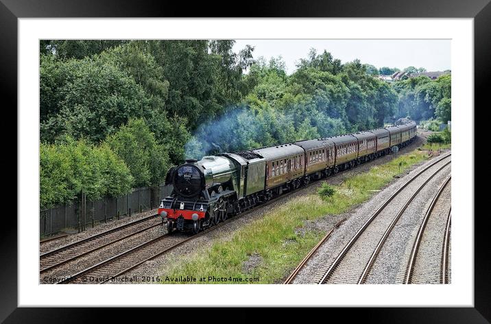 Flying Scotsman Approaching Chesterfield Framed Mounted Print by David Birchall