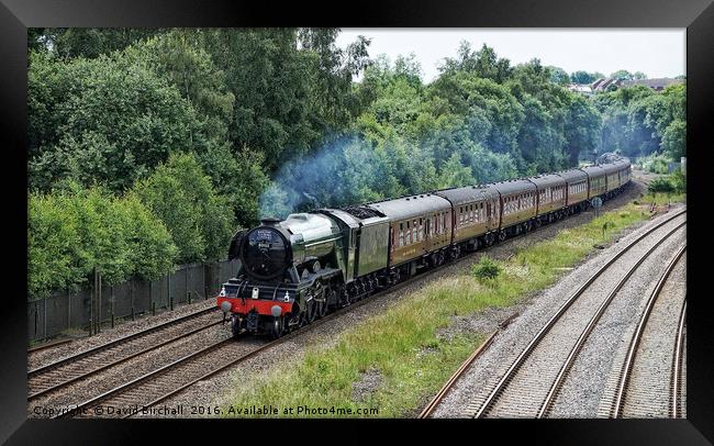 Flying Scotsman Approaching Chesterfield Framed Print by David Birchall