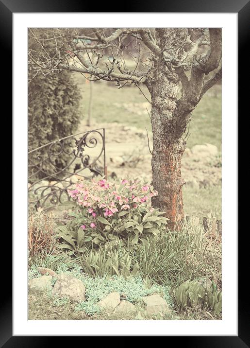 Spring Garden Pastel                               Framed Mounted Print by Jenny Rainbow