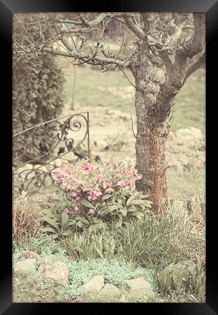 Spring Garden Pastel                               Framed Print by Jenny Rainbow