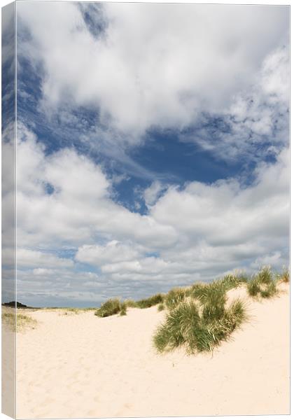 Dunes Canvas Print by Simon Wrigglesworth