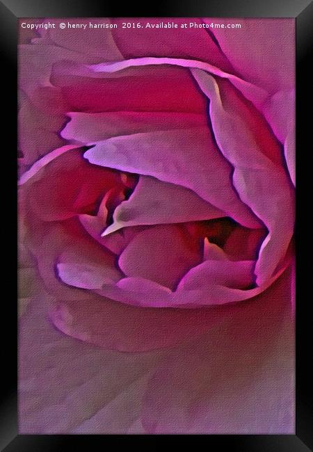 Pink Linen Blossom Framed Print by henry harrison