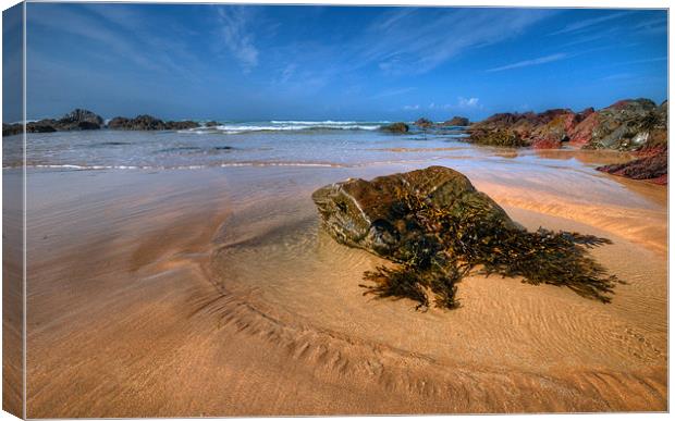 Morning Tide Canvas Print by Mark Robson