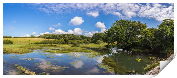 Newtown Causeway Panorama Print by Wight Landscapes