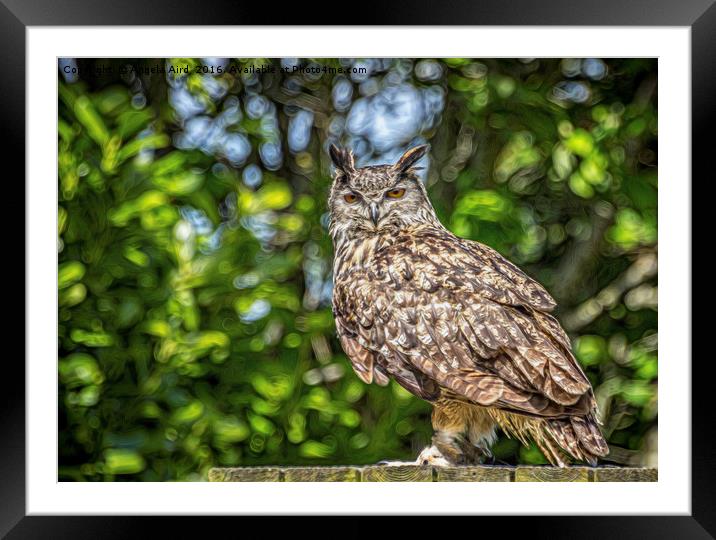 Eurasian Eagle Owl. Framed Mounted Print by Angela Aird