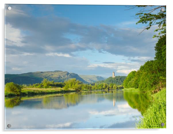 River Forth towards the Wallace Monument. Acrylic by Tommy Dickson