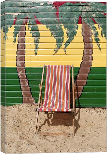 Deckchair and palm trees Canvas Print by Stephen Mole
