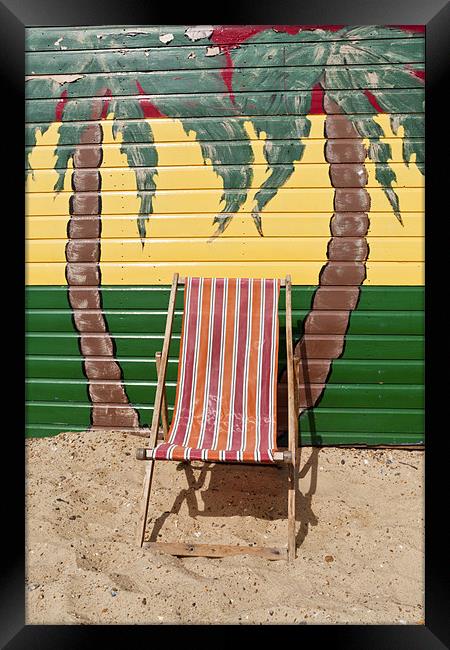 Deckchair and palm trees Framed Print by Stephen Mole